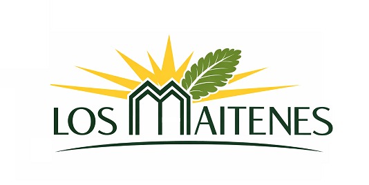 Los Maitenes